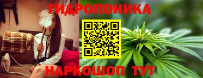 мдма Камышлов
